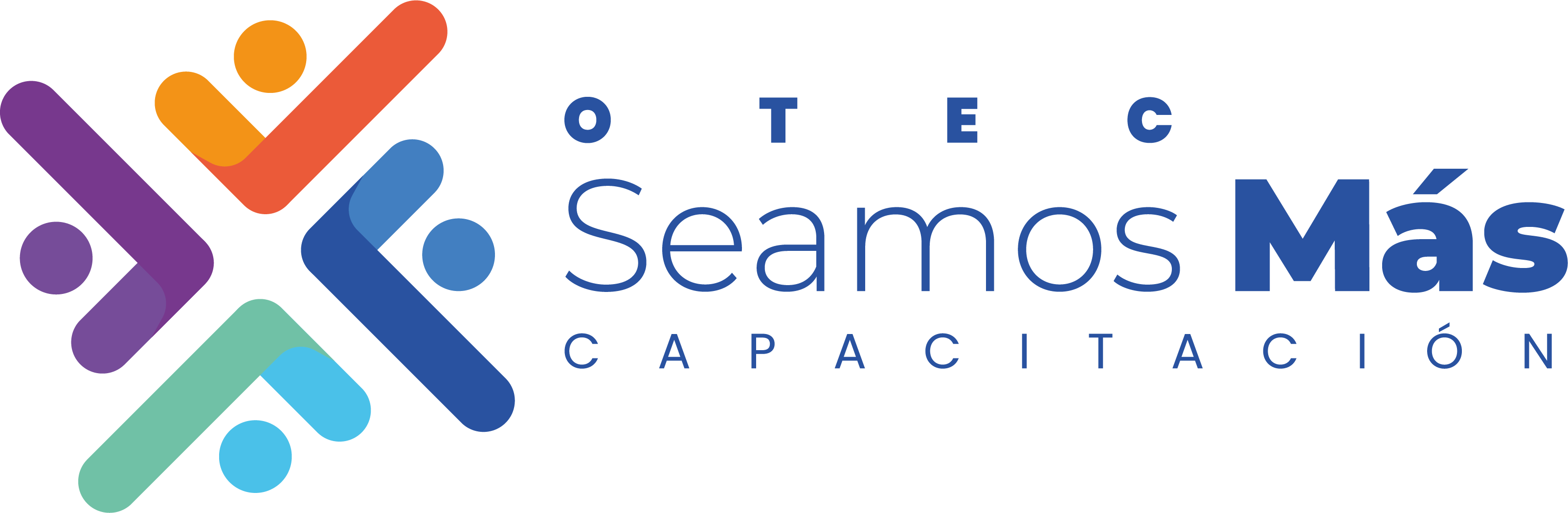 Seamos Más Capacitación